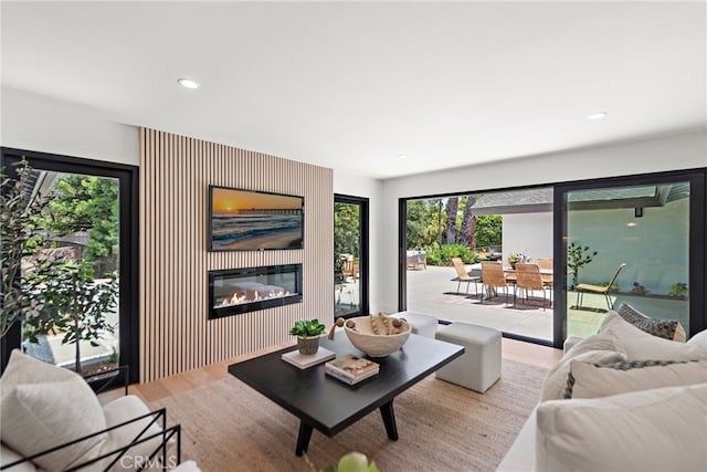 31842 Paseo Cielo, San Juan Capistrano, CA 92675 - living area featuring wood finished floors, a glass covered fireplace, and recessed lighting