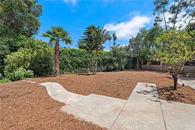 31842 Paseo Cielo, San Juan Capistrano, CA 92675 - view of fenced backyard