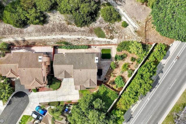 339 Diamante Way, Oceanside, CA 92056 - bird's eye view
