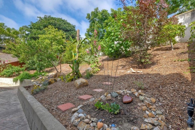 339 Diamante Way, Oceanside, CA 92056 - view of yard