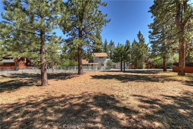 721 Riverside Ave, Sugarloaf, CA 92386 - view of yard