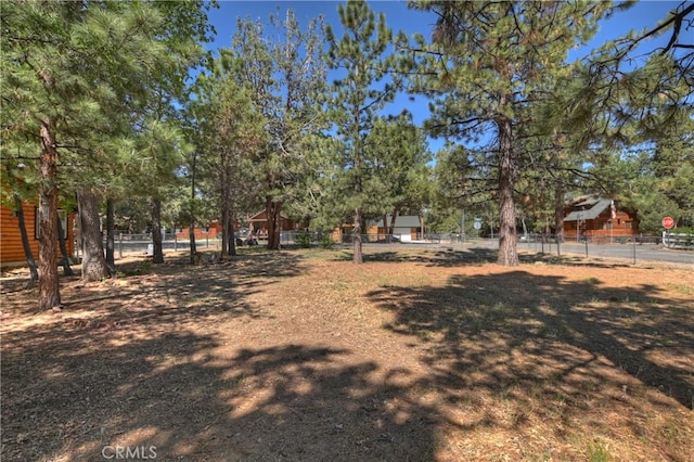 721 Riverside Ave, Sugarloaf, CA 92386 - view of yard