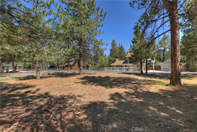 721 Riverside Ave, Sugarloaf, CA 92386 - view of yard