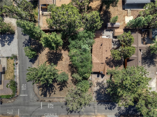 721 Riverside Ave, Sugarloaf, CA 92386 - view of property location