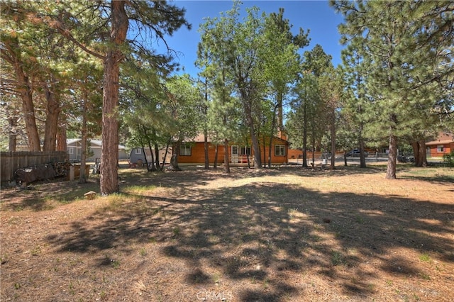 721 Riverside Ave, Sugarloaf, CA 92386 - view of yard