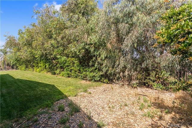 5731 Camino Real, Riverside, CA 92509 - view of grassy yard