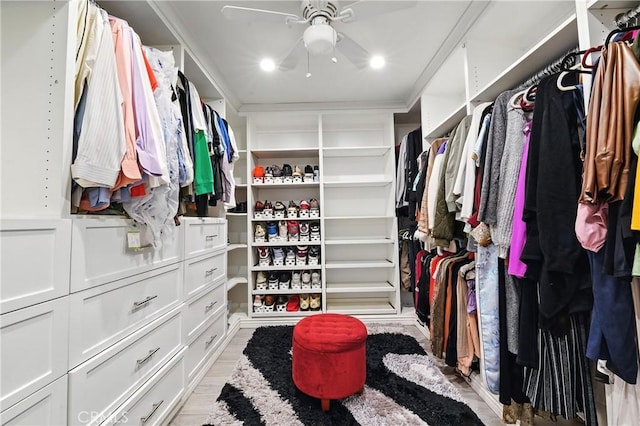 1817 Balboa Way, Upland, CA 91784 - walk in closet featuring ceiling fan and light wood finished floors