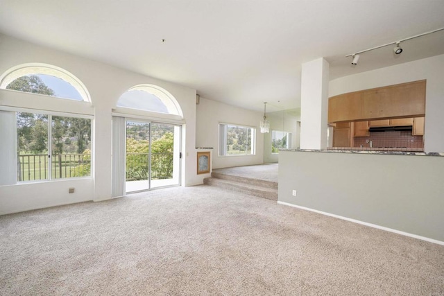 2532 Navarra Dr Unit A, Carlsbad, CA 92009 - unfurnished living room featuring light carpet and track lighting
