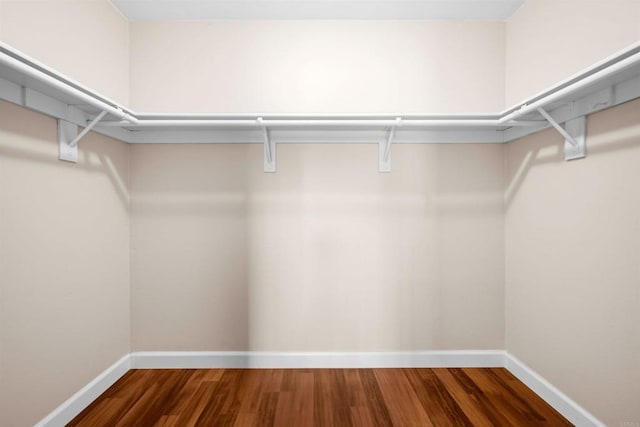 1087 Shadowridge Dr Unit 101, Vista, CA 92081 - walk in closet with wood finished floors