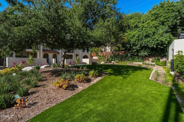 820 Mission St Unit 208, South Pasadena, CA 91030 - view of grassy yard