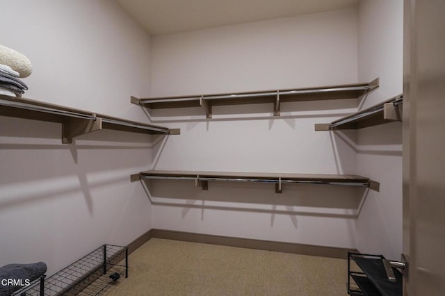 820 Mission St Unit 208, South Pasadena, CA 91030 - walk in closet with carpet floors