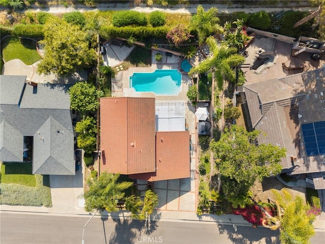 439 Acaso Dr, Walnut, CA 91789 - drone / aerial view of a pool area