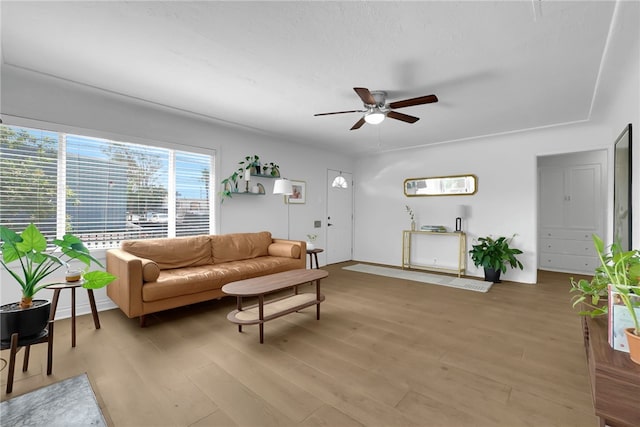 1640 Magnolia Ave, Long Beach, CA 90813 - living room featuring ceiling fan and light wood-type flooring