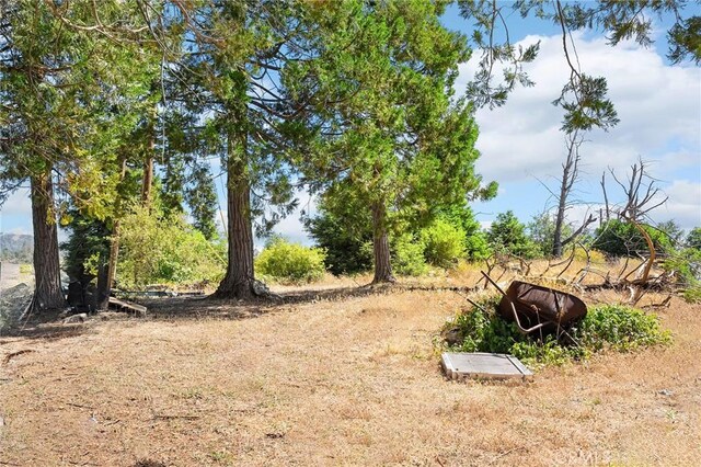 3971 Hard Times Ln, Oroville, CA 95965 - photo 13