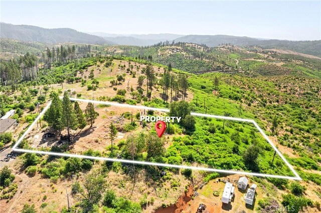 3971 Hard Times Ln, Oroville, CA 95965 - photo 7