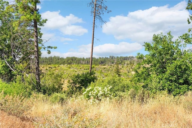 3971 Hard Times Ln, Oroville, CA 95965 - photo 14