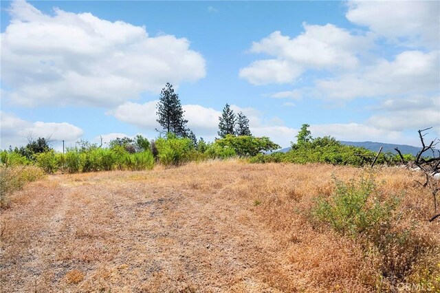 3971 Hard Times Ln, Oroville, CA 95965 - photo 15