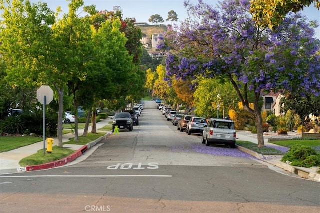 1161 N Everett St, Glendale, CA 91207 - view of asphalt road with sidewalks, curbs, and traffic signs