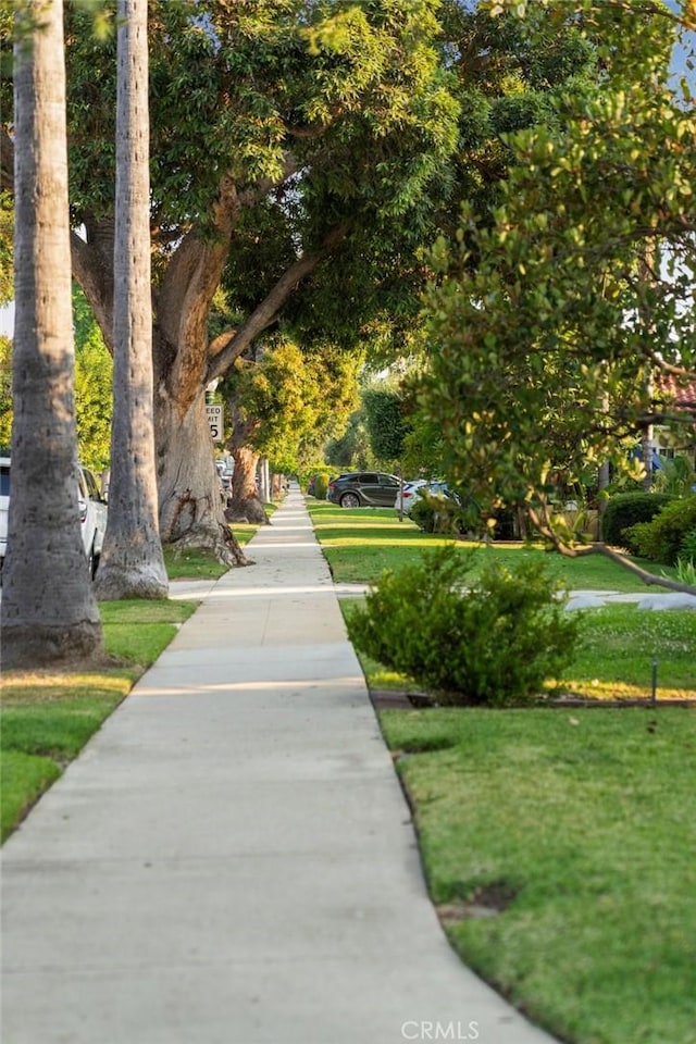 1161 N Everett St, Glendale, CA 91207 - view of property's community with a yard