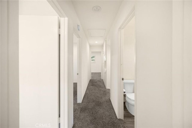 17342 Almelo Ln, Huntington Beach, CA 92649 - hallway with dark carpet and attic access