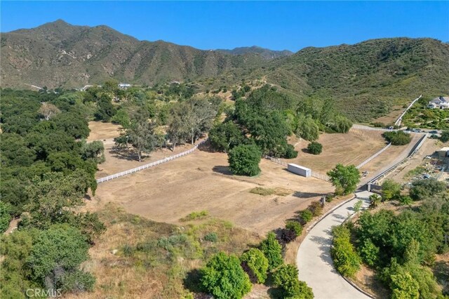 15625 Warm Springs Dr, Canyon Country, CA 91387 - photo 10