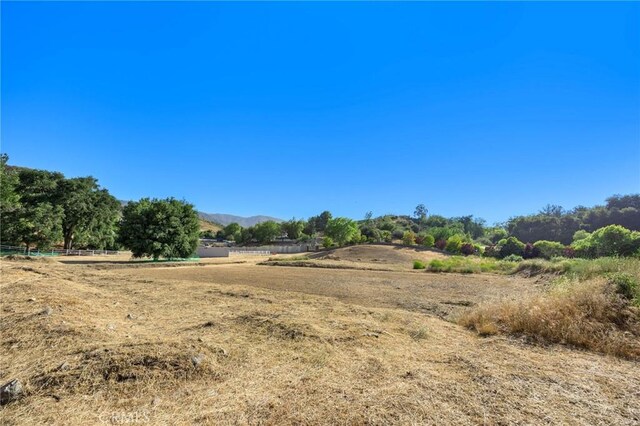 15625 Warm Springs Dr, Canyon Country, CA 91387 - photo 15