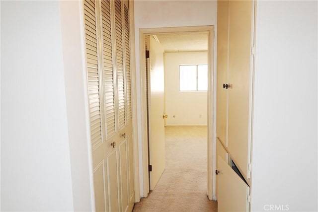 1754 N Kenmore Ave Unit 201, Los Angeles, CA 90027 - hallway with light colored carpet