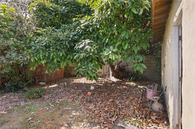 1636 W 70th St, Los Angeles, CA 90047 - view of yard