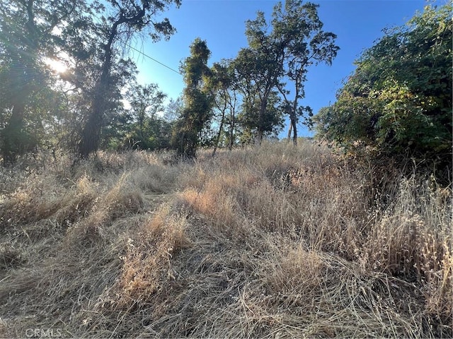 11030 Pioneer Dr, Clearlake, CA 95422 - photo 3