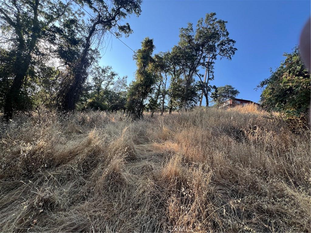 11030 Pioneer Dr, Clearlake, CA 95422 - photo 2