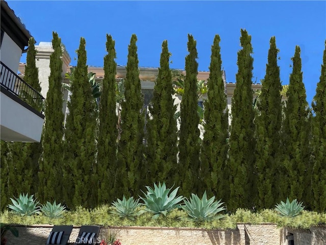30372 Marbella Vis, San Juan Capistrano, CA 92675 - view of yard