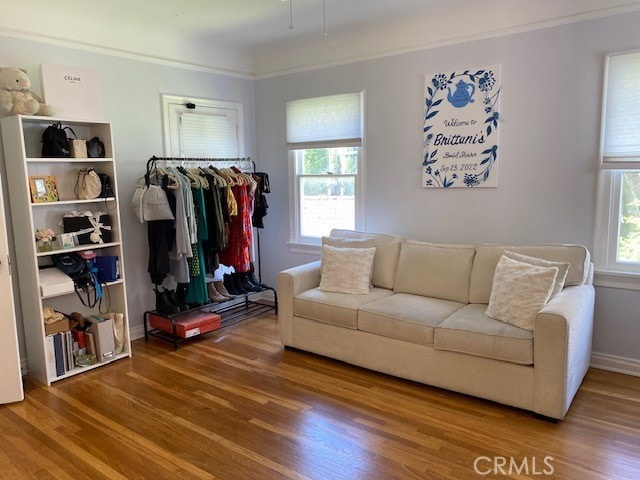 667 S Bronson, Los Angeles, CA 90005 - living room featuring wood finished floors and ornamental molding