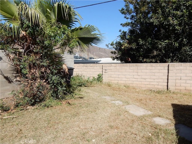 3250 Apple Ave, Jurupa Valley, CA 92509 - view of yard