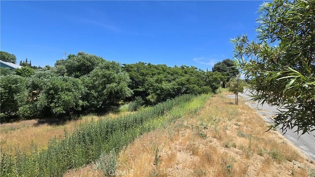 0 Rimford Dr, Lake Elizabeth, CA 93532 - photo 10