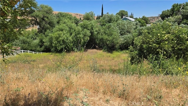 0 Rimford Dr, Lake Elizabeth, CA 93532 - photo 5