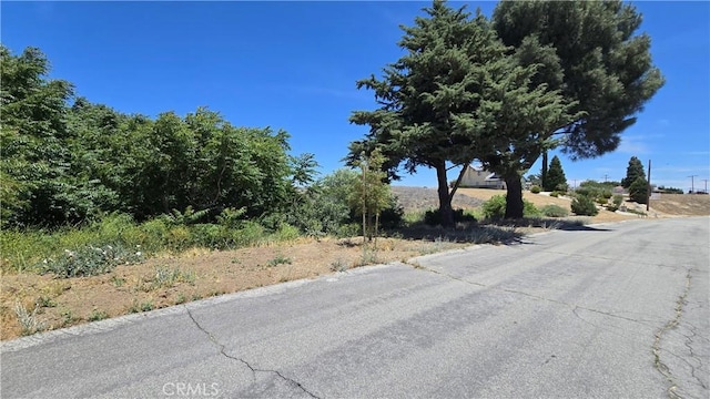 0 Rimford Dr, Lake Elizabeth, CA 93532 - photo 20