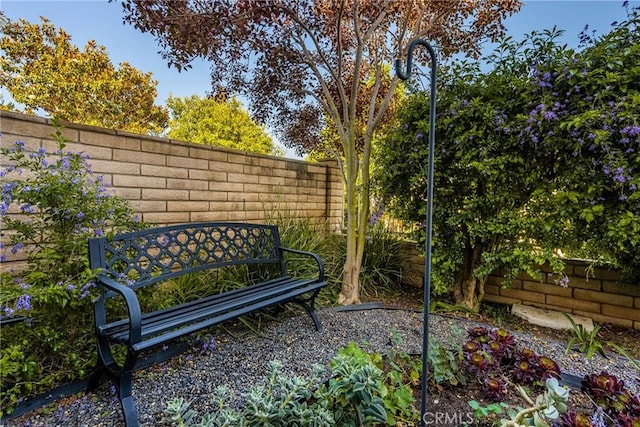 24 Spicewood Way, Irvine, CA 92612 - view of yard