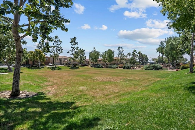 2894 E Via Fiano, Ontario, CA 91764 - view of grassy yard