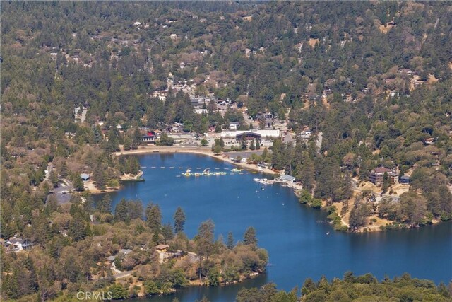 716 Chamois Dr, Crestline, CA 92325 - photo 54