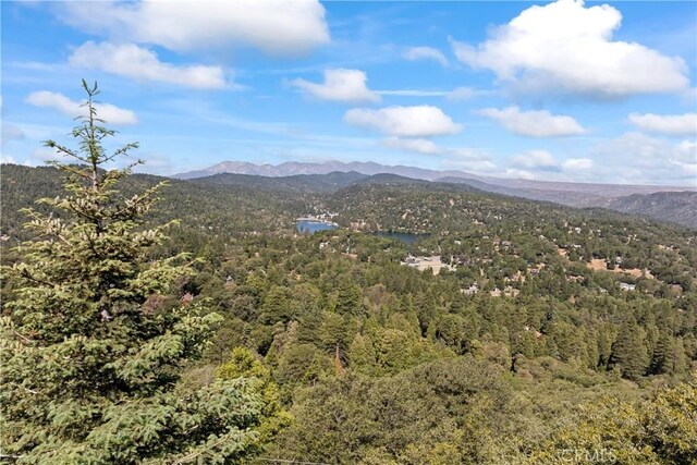 716 Chamois Dr, Crestline, CA 92325 - photo 25