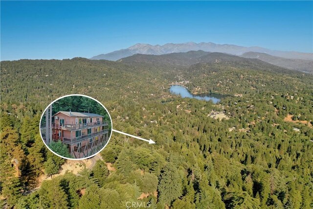 716 Chamois Dr, Crestline, CA 92325 - photo 53