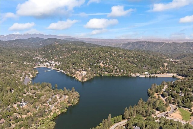 716 Chamois Dr, Crestline, CA 92325 - photo 3