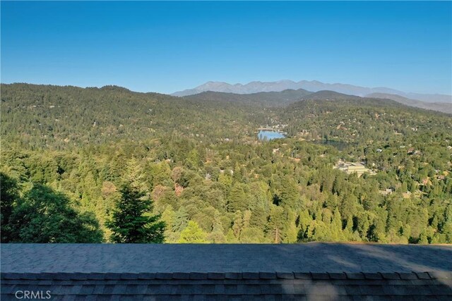 716 Chamois Dr, Crestline, CA 92325 - photo 51