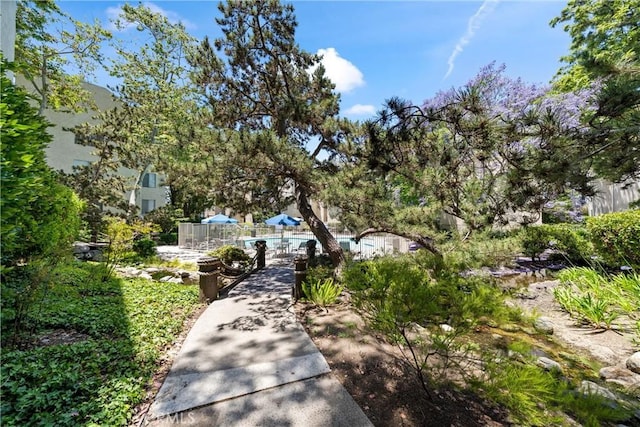8210 Summertime Ln Unit 210, Culver City, CA 90230 - view of property's community with a swimming pool