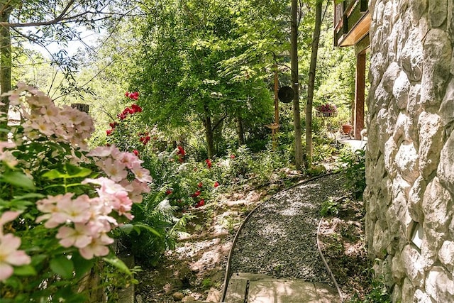 28971 N Shore Rd, Lake Arrowhead, CA 92352 - view of nature