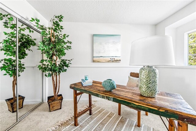 18051 Wakefield Ln Unit 106, Huntington Beach, CA 92648 - home office with carpet flooring and a textured ceiling