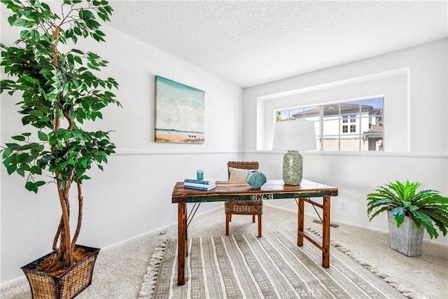 18051 Wakefield Ln Unit 106, Huntington Beach, CA 92648 - office area with carpet floors and a textured ceiling