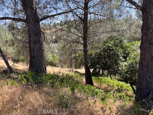 10353 Walnut Way, Kelseyville, CA 95451 - photo 4