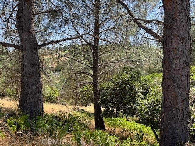 10353 Walnut Way, Kelseyville, CA 95451 - photo 3