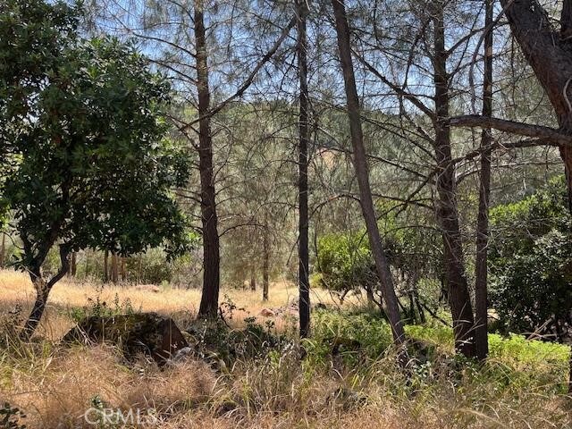 10353 Walnut Way, Kelseyville, CA 95451 - photo 2